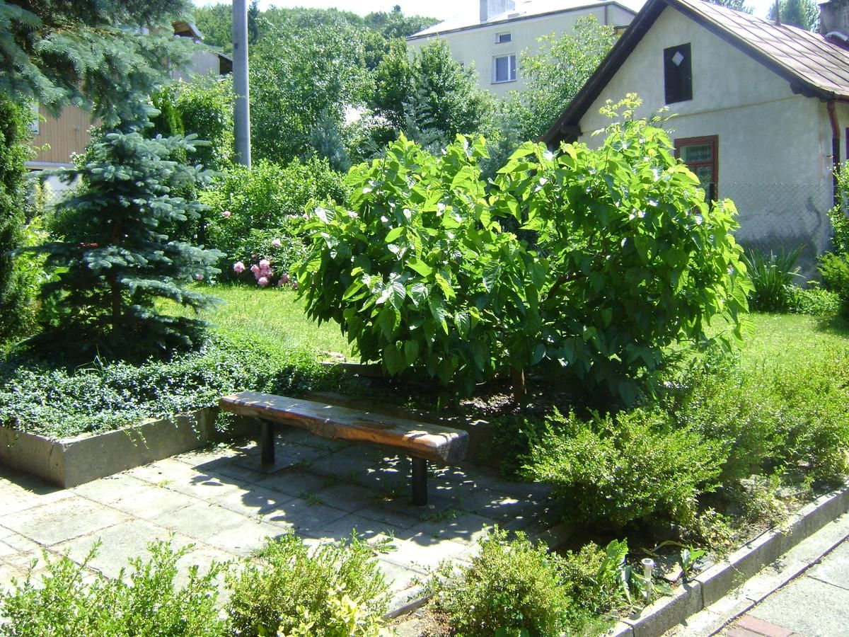 Хостелы Hostel Promyk Ивонич-Здруй-14